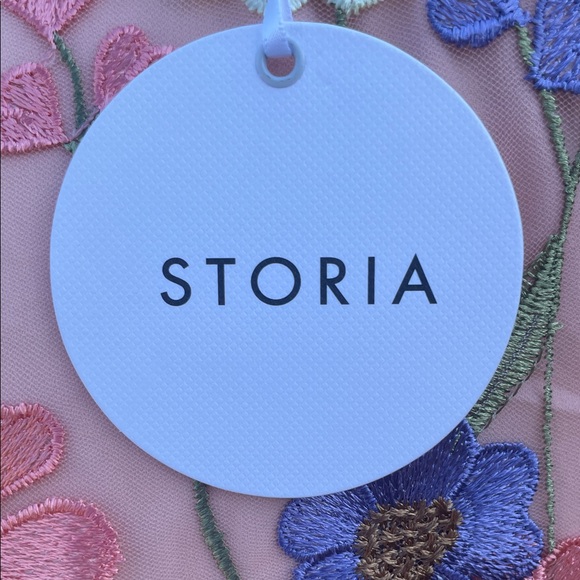 Storia Sheer Dress with Full Length Liner and Floral Embroidery - Picture 2 of 13